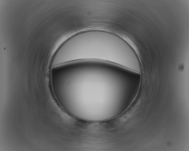 X0000093231093200709261504