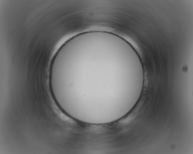 X0000093231094200709261504