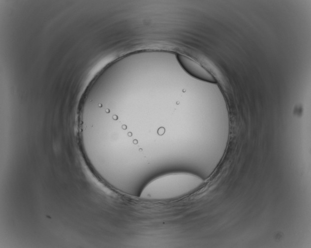X0000093231095200709261504