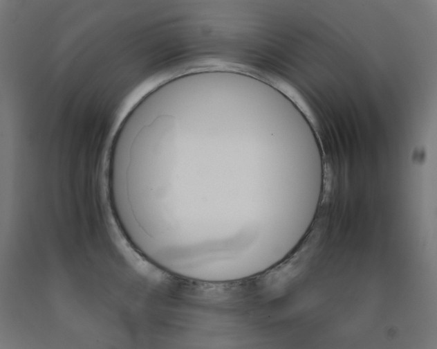 X0000093231098200709261504