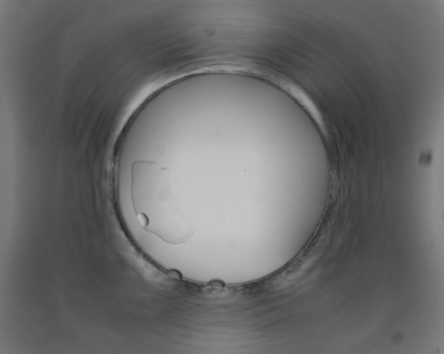 X0000093231099200709261504