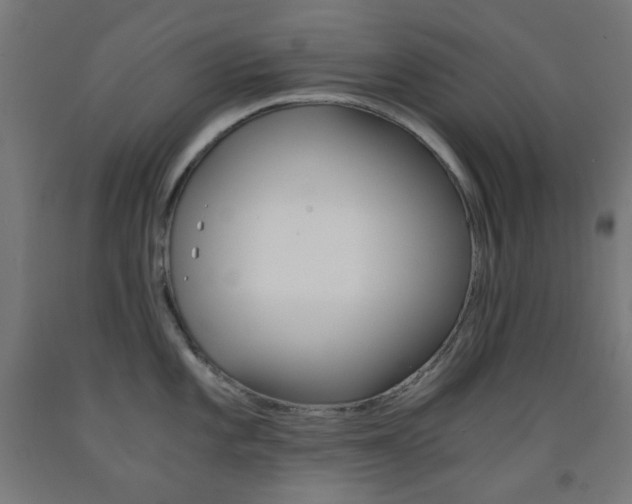 X0000093231101200709261504
