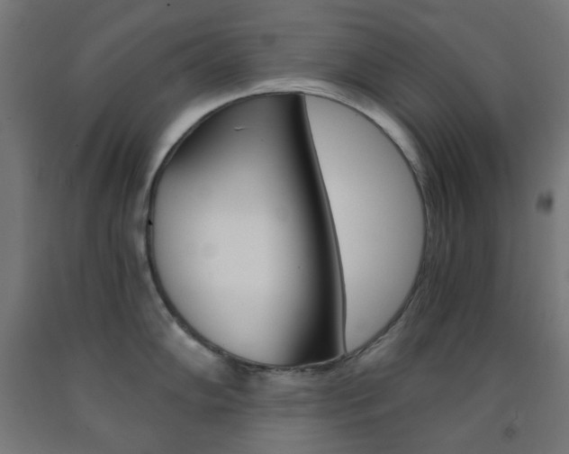 X0000093231102200709261504