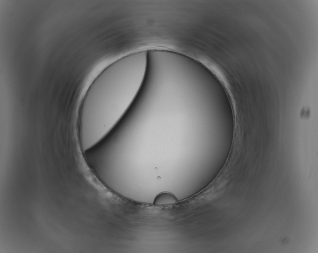 X0000093231104200709261504