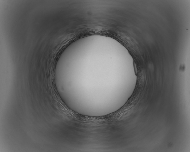 X0000093231105200709261503