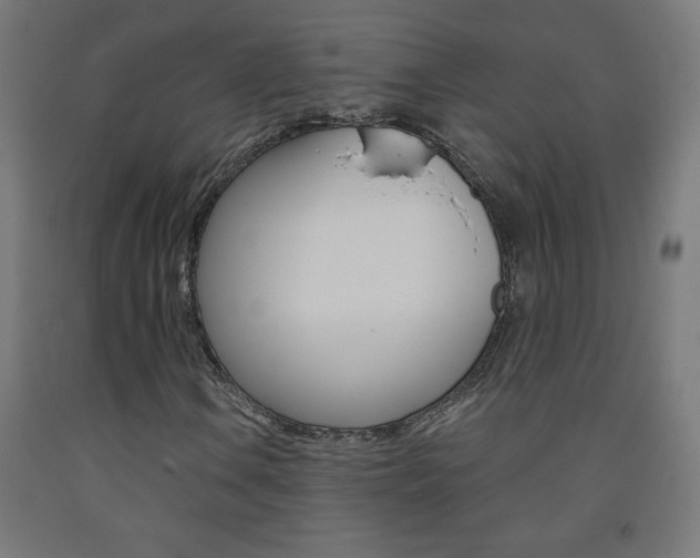 X0000093231106200709261503