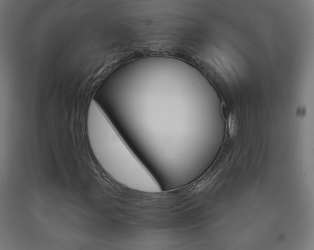 X0000093231107200709261503