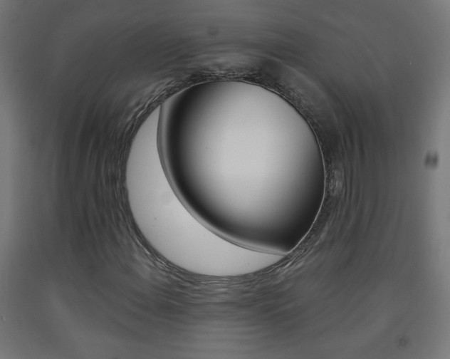 X0000093231108200709261503