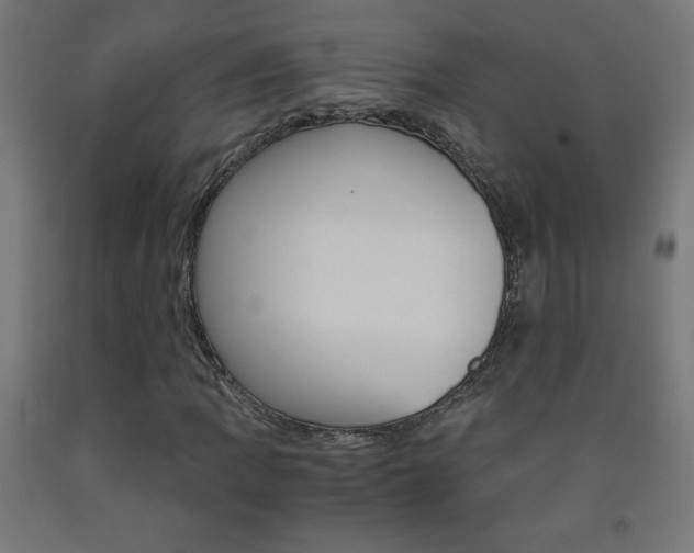 X0000093231109200709261503
