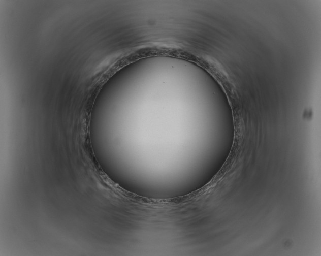 X0000093231110200709261503