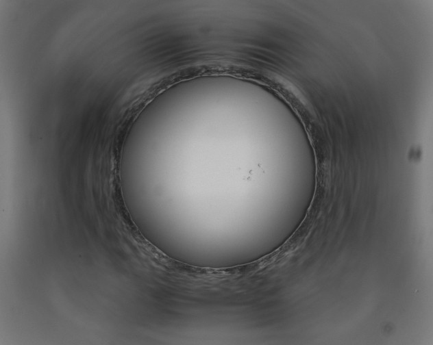 X0000093231111200709261503