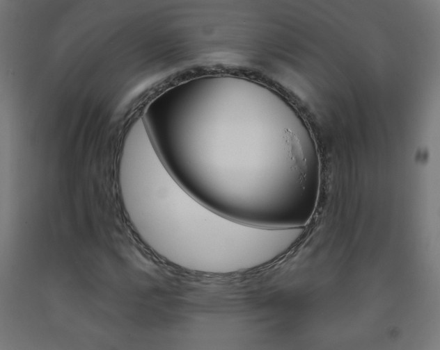 X0000093231112200709261503