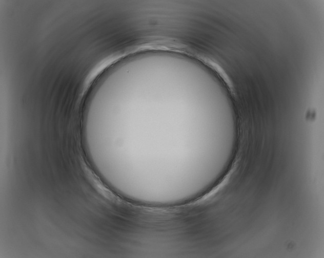 X0000093231114200709261503