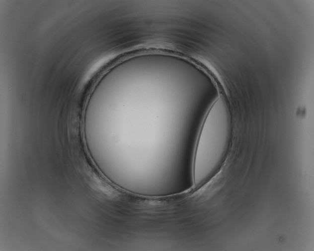 X0000093231115200709261503