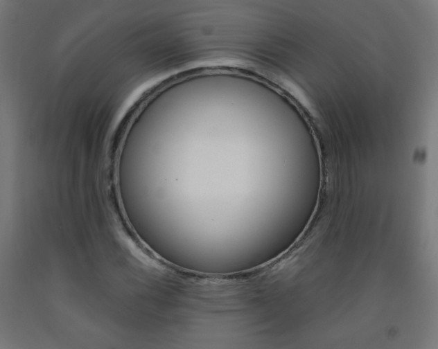 X0000093231116200709261503