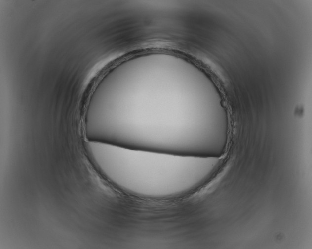 X0000093231117200709261503