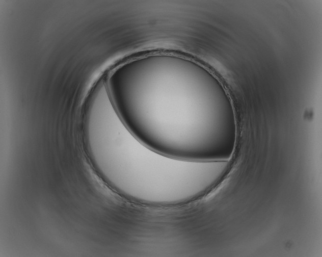 X0000093231118200709261503