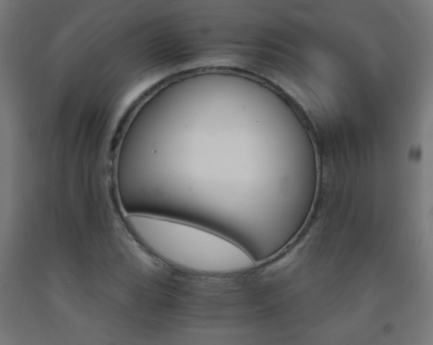 X0000093231119200709261503