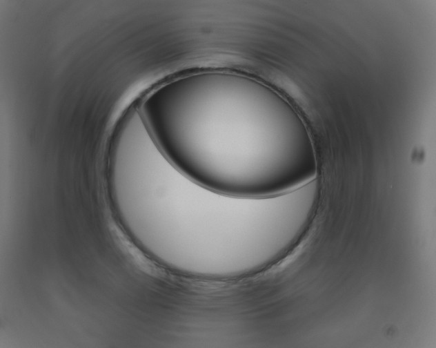 X0000093231122200709261503