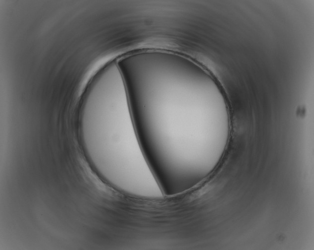 X0000093231123200709261503