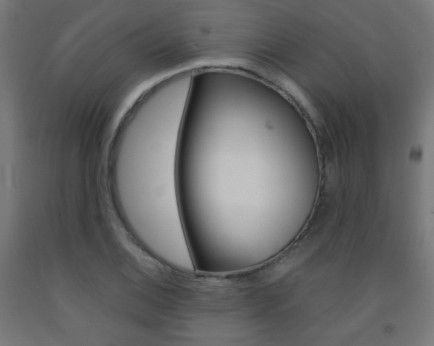 X0000093231124200709261503