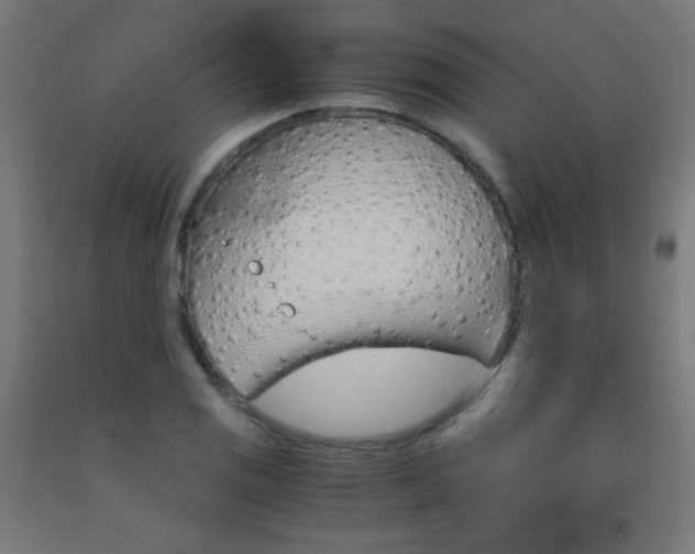 X0000093231125200709261503