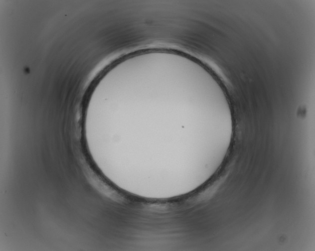X0000093231126200709261503