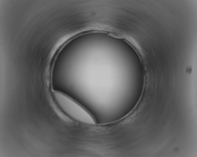 X0000093231128200709261503
