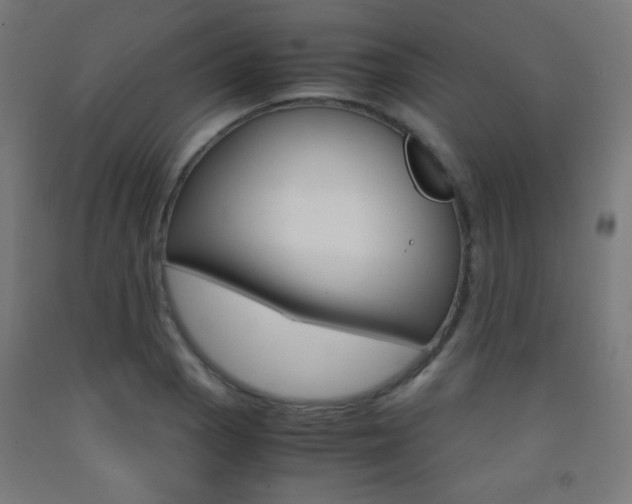 X0000093231129200709261503