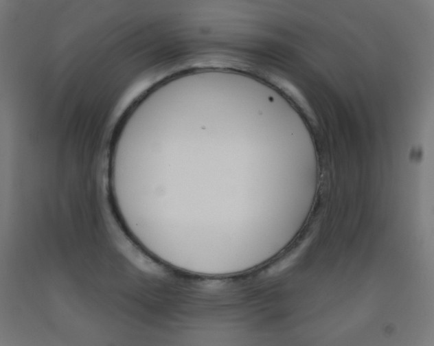 X0000093231130200709261503