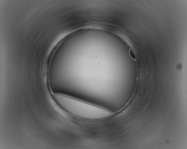X0000093231131200709261503