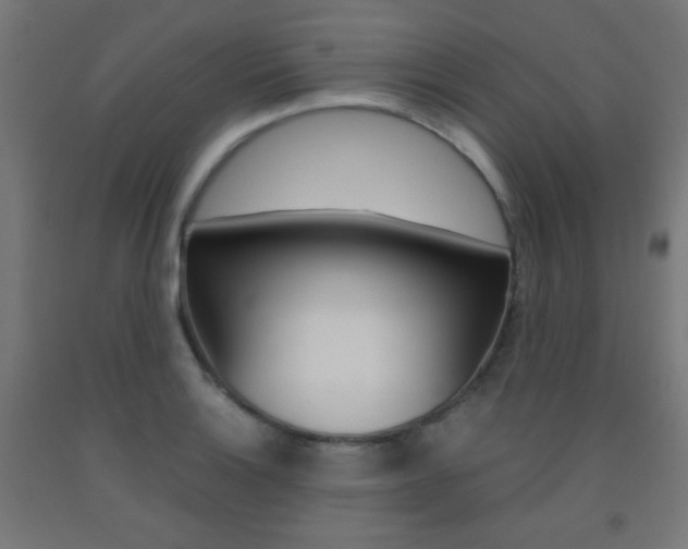 X0000093231132200709261503