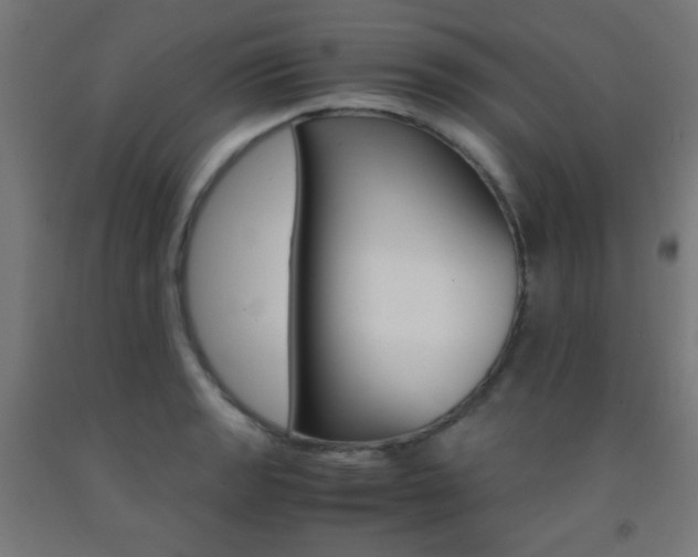 X0000093231133200709261503