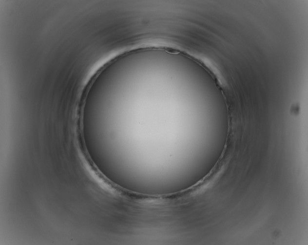X0000093231134200709261503