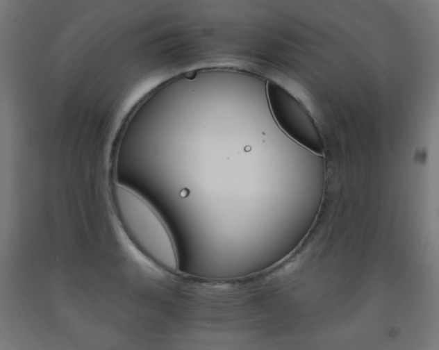 X0000093231135200709261503