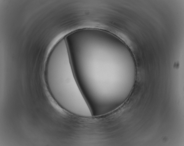 X0000093231136200709261503