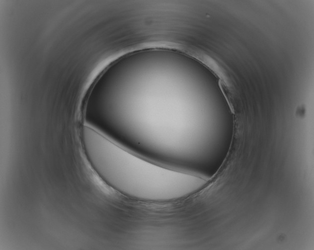 X0000093231140200709261503