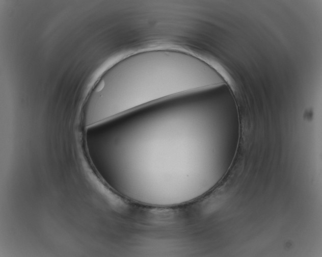 X0000093231142200709261504