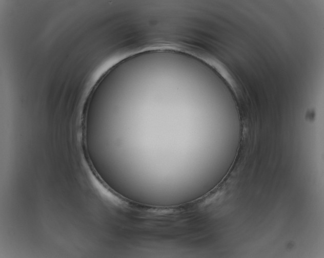 X0000093231143200709261504