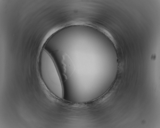 X0000093231146200709261504