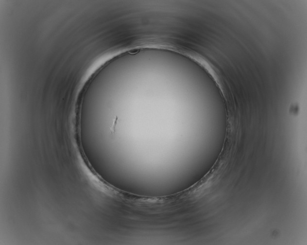 X0000093231147200709261504