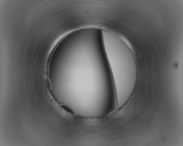 X0000093231148200709261504