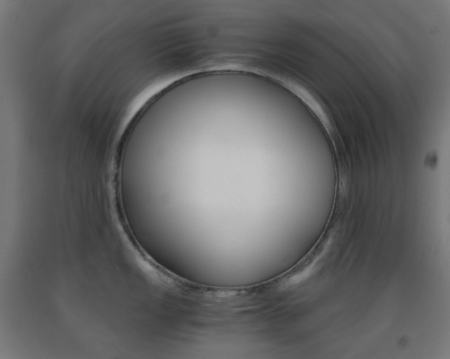 X0000093231149200709261504