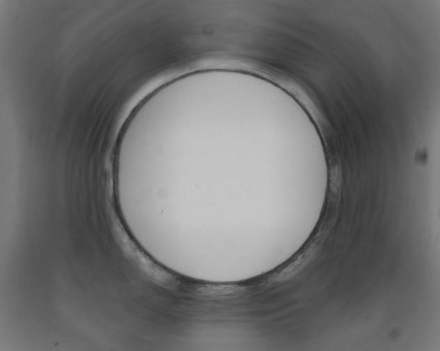 X0000093231150200709261504