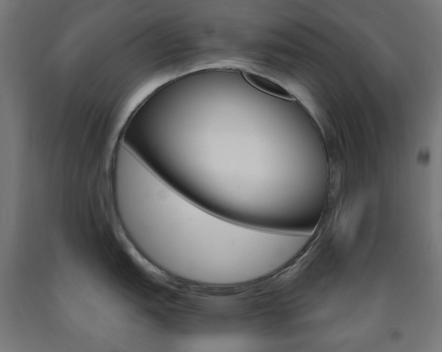 X0000093231151200709261504