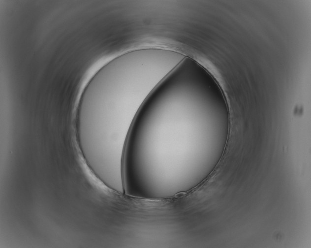 X0000093231152200709261504