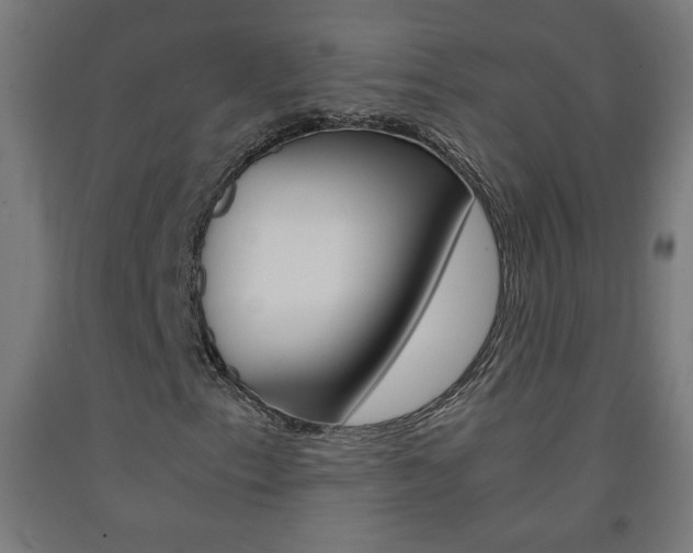 X0000093231153200709261503