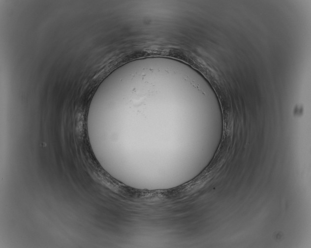 X0000093231154200709261503