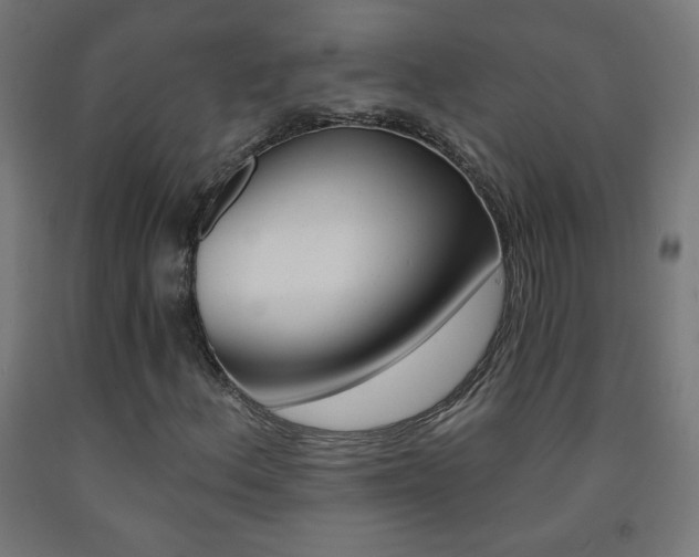 X0000093231156200709261503