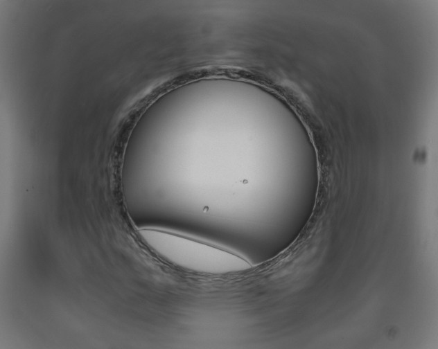 X0000093231159200709261503